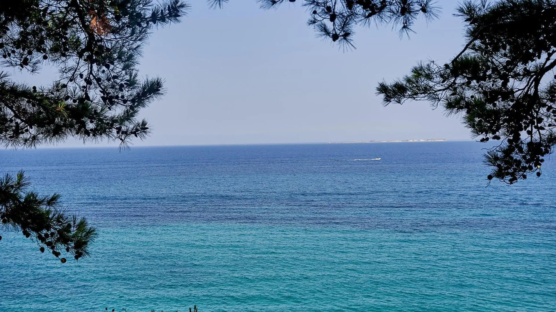 לאסי White Rocks Hotel Kefalonia 4*,  יוון